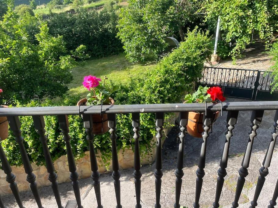 Casa A Boga Ribeira Sacra Villa Abeleda Exteriör bild