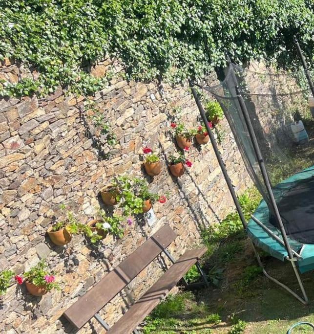 Casa A Boga Ribeira Sacra Villa Abeleda Exteriör bild