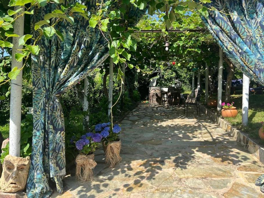 Casa A Boga Ribeira Sacra Villa Abeleda Exteriör bild