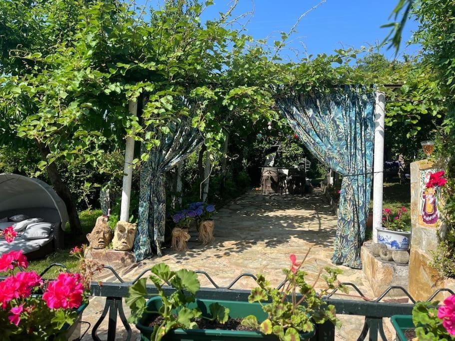 Casa A Boga Ribeira Sacra Villa Abeleda Exteriör bild